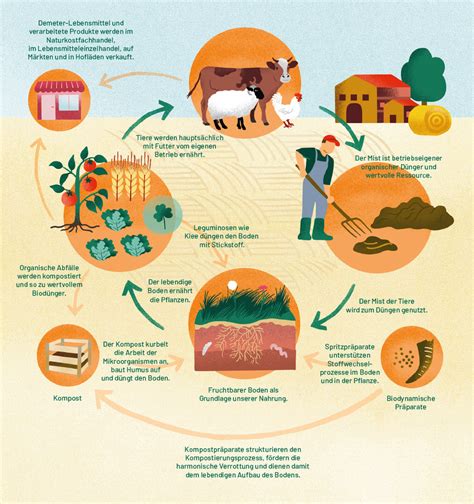 Demeter 100 Jahre Biodynamische Landwirtschaft Molkerei