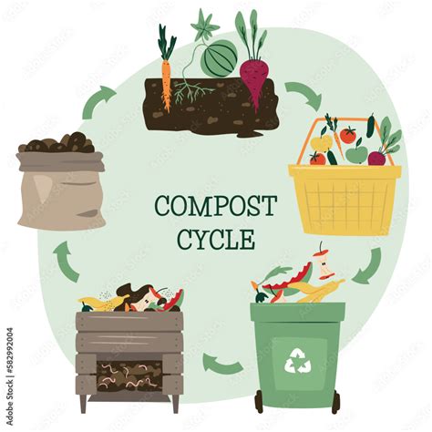 Compost Life Circle Infographic Composting Process Recycling Organic