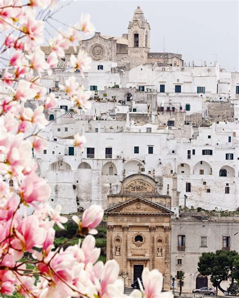 La Bianca Distesa Di Ostuni Spring Is Surrounding Puglia Have You