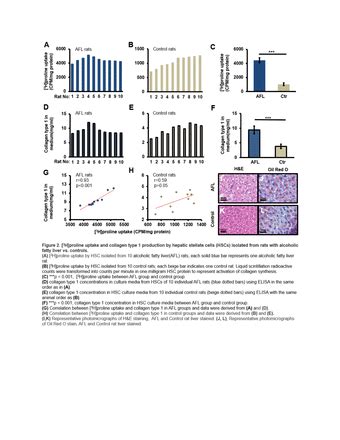 Cis F Fluoro L Proline Pet Ct Molecular Imaging Quantifying Liver