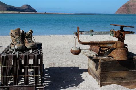 Fisherman Work Boots and Scale on Beach Espiritu Santo Island Mexico Stock Image - Image of ...