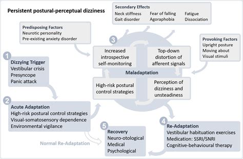 Persistent Postural Perceptual Dizziness Pppd A Common