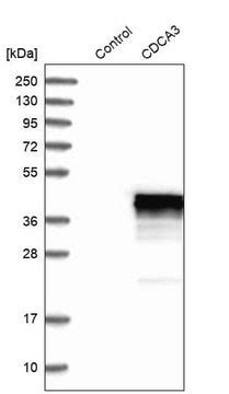 3 4 Fluorophenyl 1 Phenyl 1H Pyrazol 4 Ol Sigma Aldrich