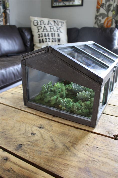 DIY Succulent Terrarium - 2 Bees in a Pod