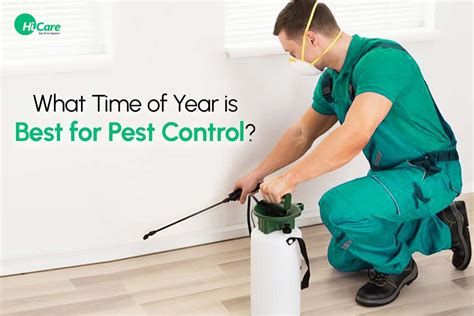 What Is The Best Time Of Year To Get A Pest Control Service Hicare