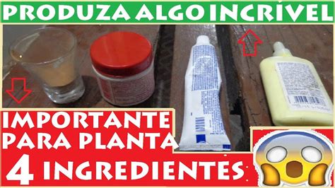 Como Fazer A Melhor Pasta Cicatrizante De Plantas F Cil E Caseira