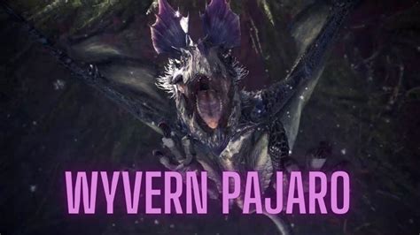 Mh Y La Ecologia Que Son Los Wyvern P Jaro Youtube