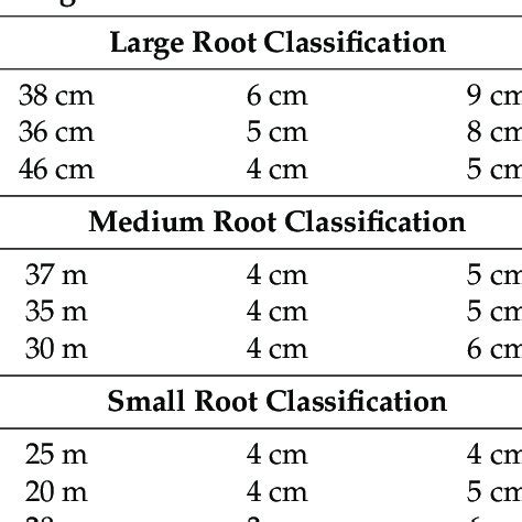 Illustration Of Root Measurement Procedure A Root Length B Root