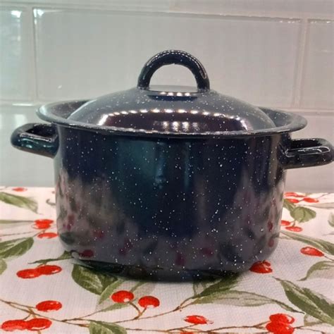 Kitchen Blue Speckled Enamelware Pot With Lid Poshmark