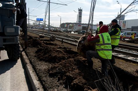 Устройство газонных покрытий | Drevgradservice - Ландшафтный дизайн в ...
