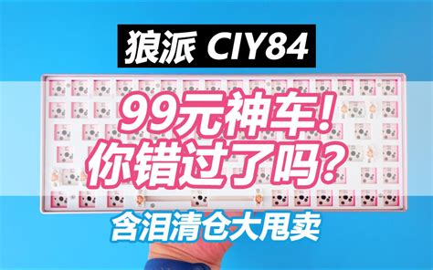 【4千粉福利】99元！性价比神车你错过了吗？狼派ciy84炫彩开箱拆解改造 哔哩哔哩