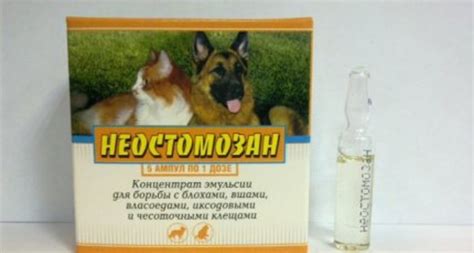 Неостомозан - инструкция по применению и отзывы