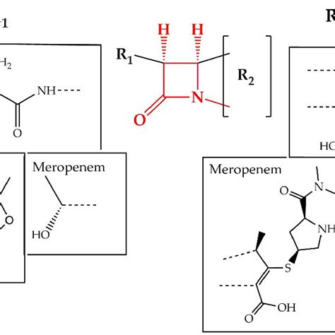 Chemical structure of conserved ring structure in β lactam antibiotics