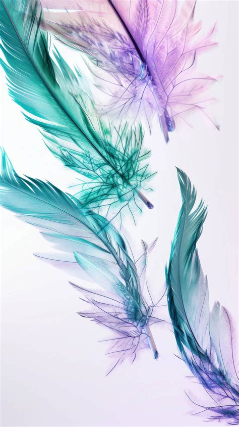 Pastel Feathers Background Soft Feather Texture Light Blue And Purple