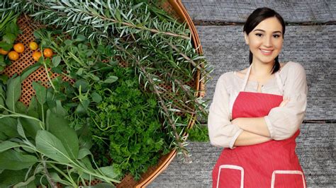 Transforme Sua Cozinha Em Um Jardim Melhores Ervas Para Plantar Em Casa