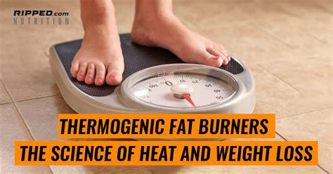 Thermogenic Fat Burners The Science Of Heat And Weight Loss