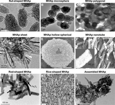 Full Article Magnetic Hydroxyapatite A Promising Multifunctional