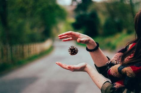 Premium Photo Close Up Of Woman Holding Pine Cone