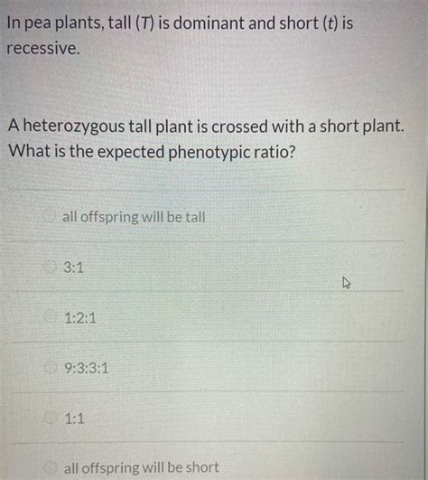 Solved In Pea Plants Tall T Is Dominant And Short T Id