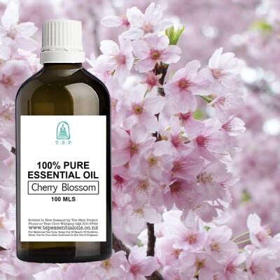 Cherry Blossom Pure Essential Oil Mls By Tsp Essential Oils