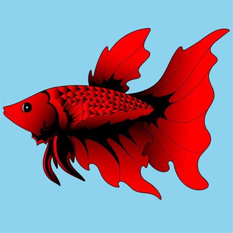 Premium Vector Betta Fish