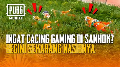 Pubg Mobile Ingat Cacing Gaming Sanhok Begini Sekarang Nasibnya