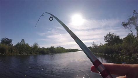 How To Catch Panfish In The Florida Everglades Oscar And Sunfish