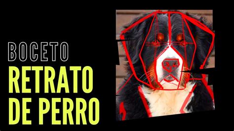 Como Dibujar Un Perro Usando Figuras Geom Tricas Explicado Youtube