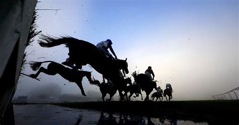 Key Genes Linked To Successful Racehorses Identified By Scientists