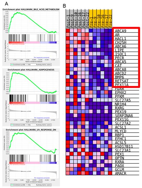 IJMS Free Full Text Biological Insights Into Chemotherapy