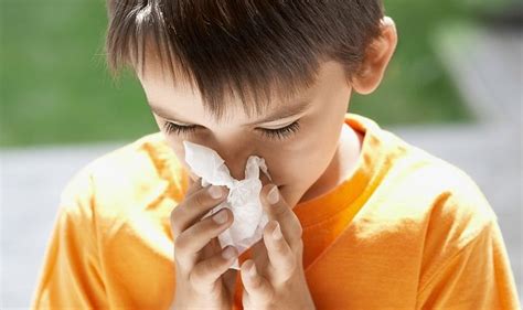 Allergic Rhinitis Sinusitis Health Insure Savvy