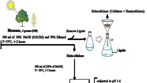 Schema for extraction of hemicellulose from biomass. Compositional ...