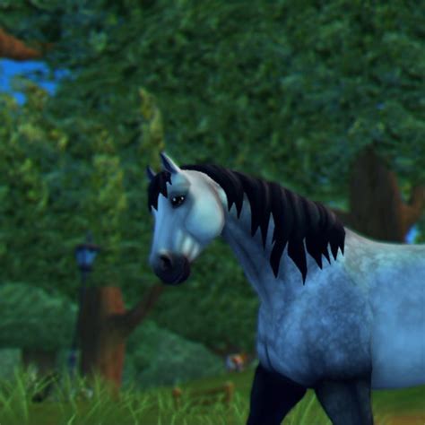 Aramis Wiki Star Stable Online Amino