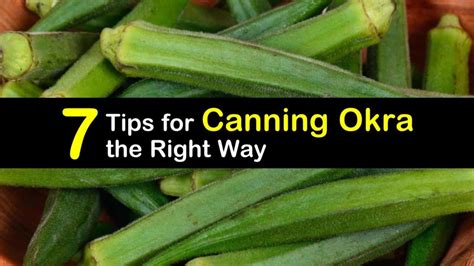 7 Tips for Canning Okra the Right Way