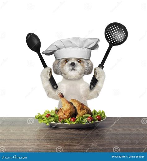 Cute Dog Chef Is Preparing Chicken Stock Photo Image Of Cafe Baker