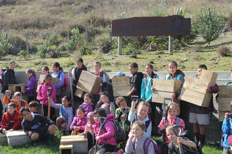 Te Mahia School Students Prepare The Ground For A Blue Penguin Colony