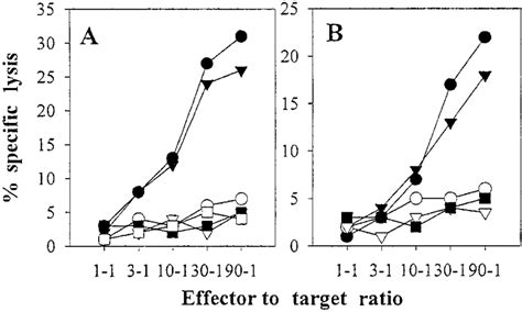 Autologous Mature DCs Pulsed With Autologous Or Allogeneic EBV B LCL