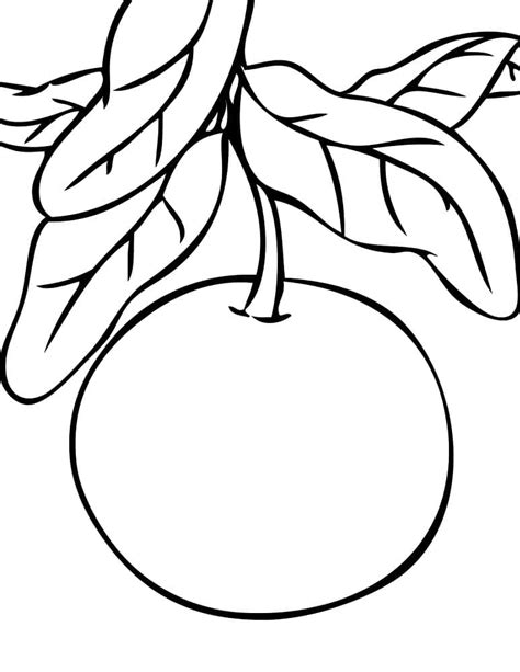 Dibujos De Pomelo En El Rbol Para Colorear Para Colorear Pintar E