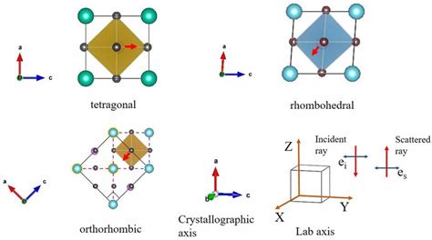 The Unit Cell Of Bto In The Tetragonal Orthorhombic And Rhombohedral Download Scientific