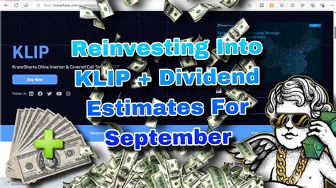 Reinvesting Into Klip Kraneshares China Internet Covered Call Etf