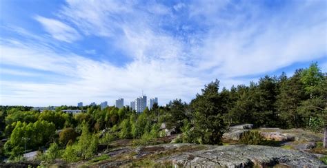 Fotos gratis paisaje costa árbol naturaleza bosque césped rock