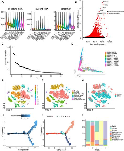 Frontiers Prognostic Value Of Autophagy Related Genes Based On Single