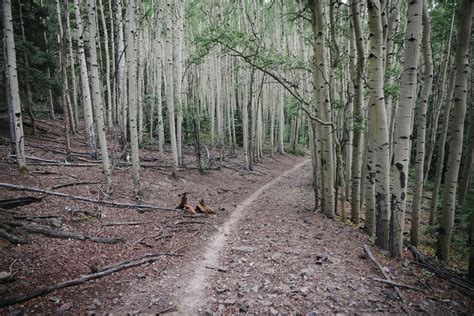 Hot Creek Trail Colorado GPS Trail Map Conditions Difficulty OnX Offroad