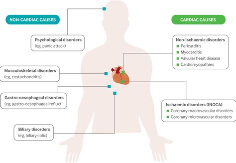 Management Of Ischaemia With Non Obstructive Coronary Arteries Inoca