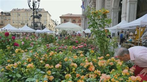 Torna Agriflor Un Mercato Botanico In Piazza Vittorio