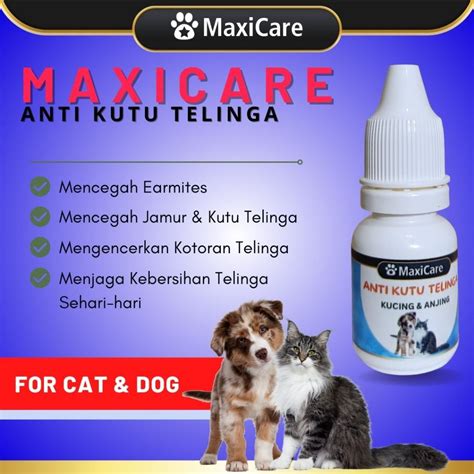 Jual Anti Kutu Telinga Untuk Kucing Dan Anjing Cair Tetes Pembasmi Kutu