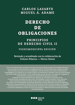 Principios De Derecho Civil Ed Tomo Ii Derecho De Obligaciones