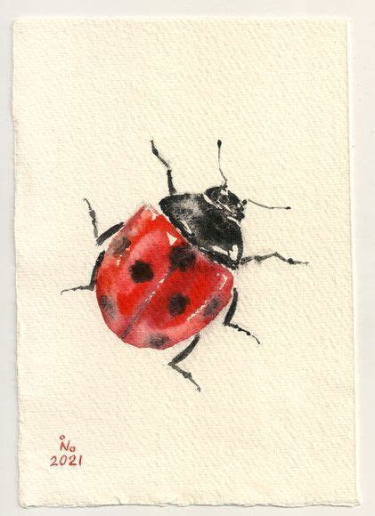 Ladybird 2021 Watercolour By Ilona Borodulina Ladybird Pet Birds