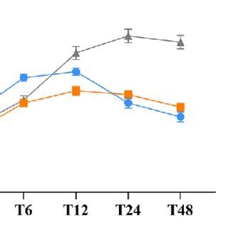 Comparison Of The Postoperative Comfort Score At Different Time Points