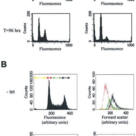 Flow Cytometry Of Procyclic Cyc Rnai Cells A Flow Cytometry Was